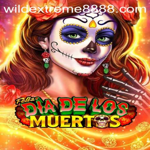 Exploring the Thrills of FelizDiadelos: An Introduction to WildExtreme888